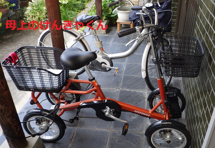 けんきゃくん 電動アシスト四輪自転車